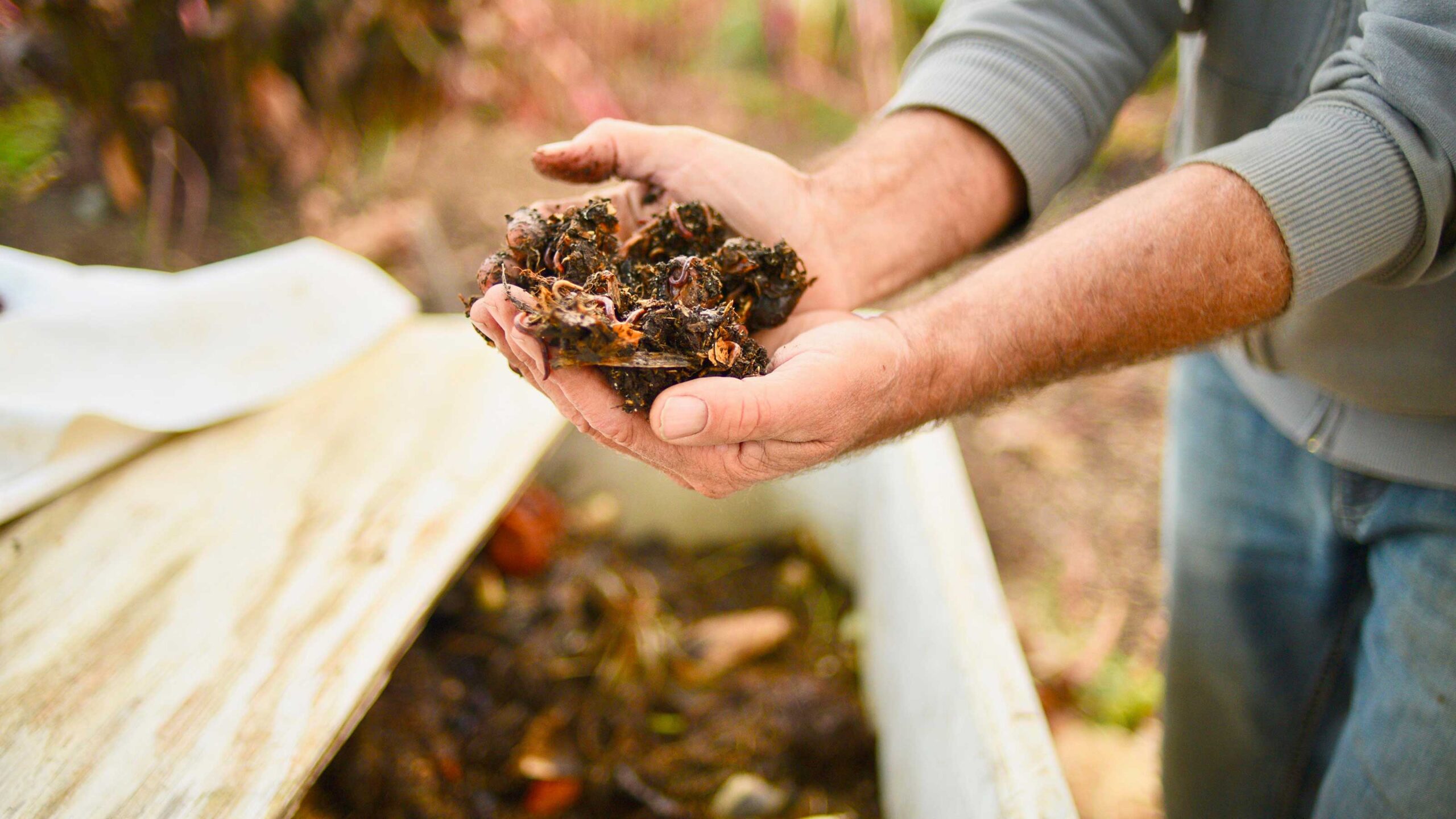 How to Tap Into the Urban Worm Composting Trend